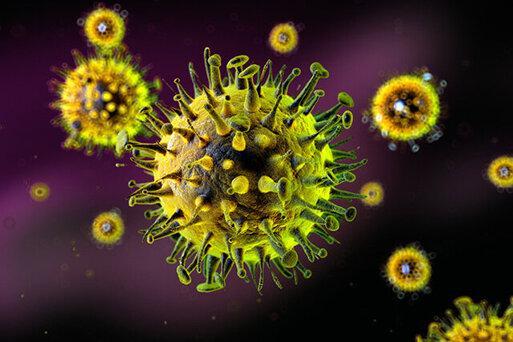 راهی برای از کار انداختن ویروس سرماخوردگی