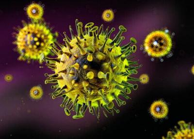 راهی برای از کار انداختن ویروس سرماخوردگی