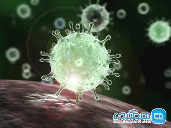 بدن در مقابل ویروس کرونا چه واکنشی نشان می دهد؟