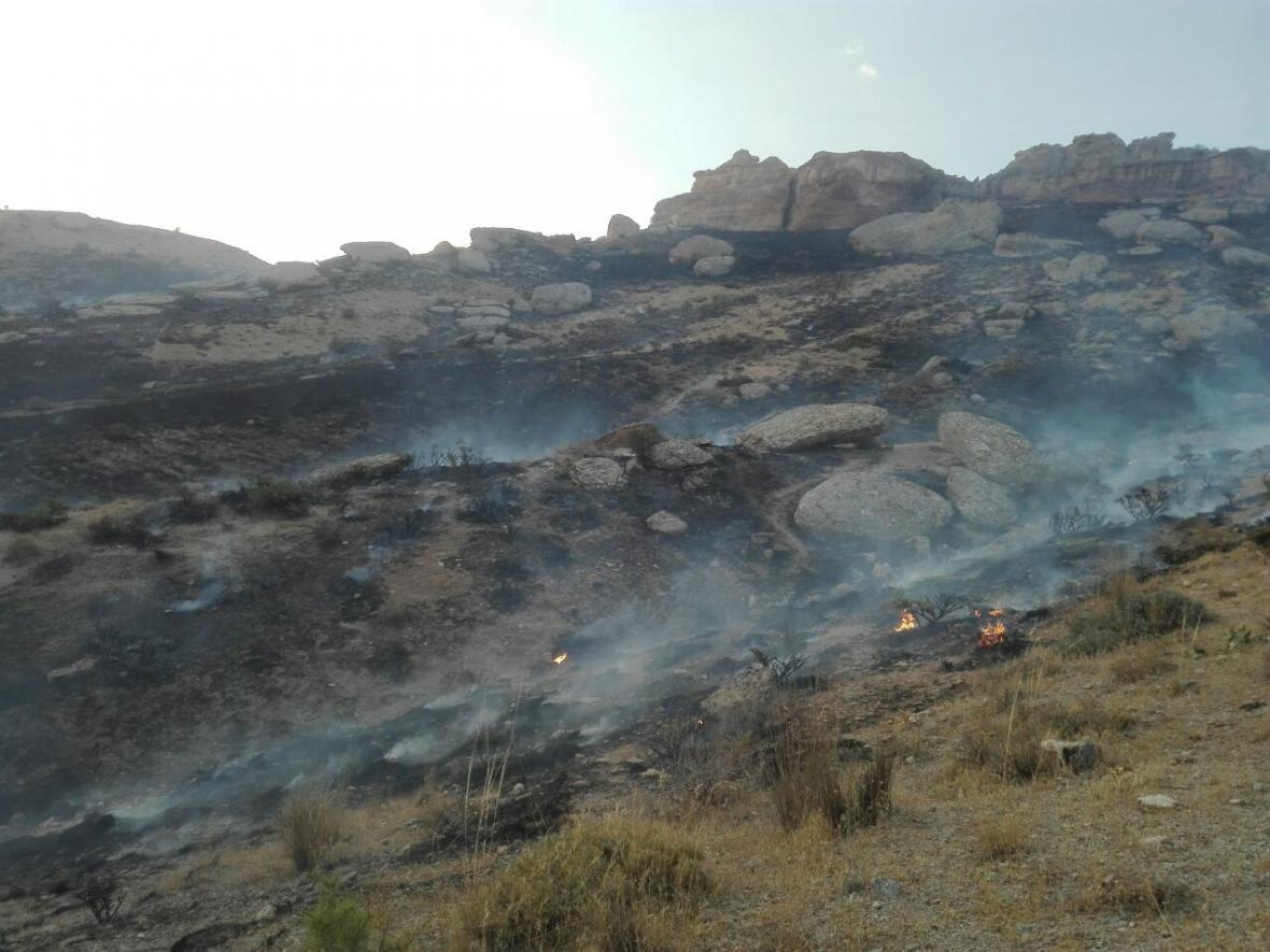 خبرنگاران آتش سوزی در مراتع تکاب در آذربایجان غربی مهار خبرنگاران آتش سوزی در مراتع تکاب در آذربایجان غربی مهار شد